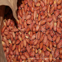 Chinesischer Fried Peanut Kernel, gerösteter und gesalzener Erdnusskerne